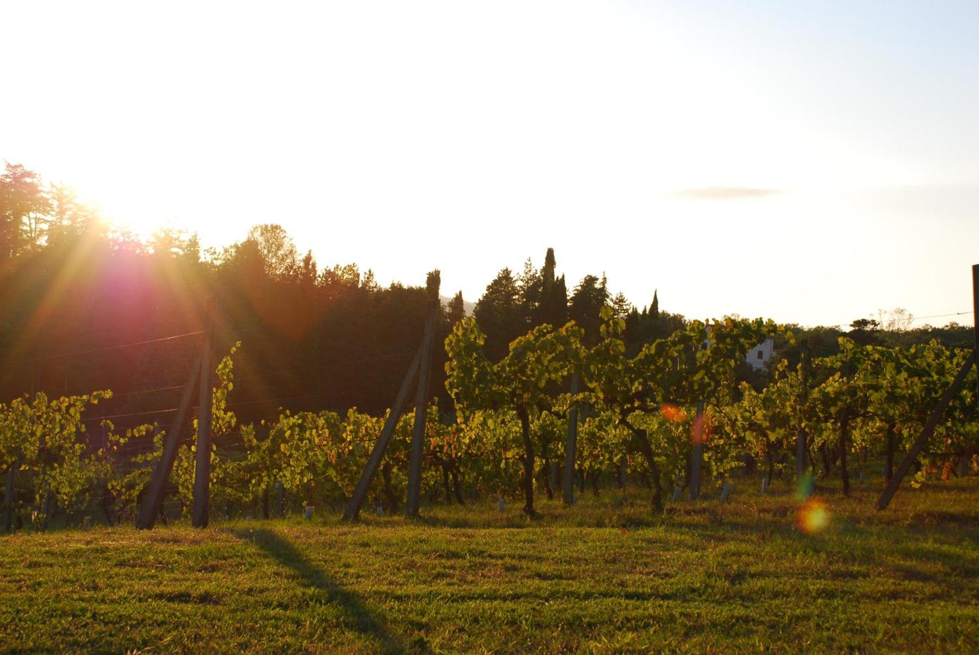 Agriturismo Il Sasso Anghiari Eksteriør bilde