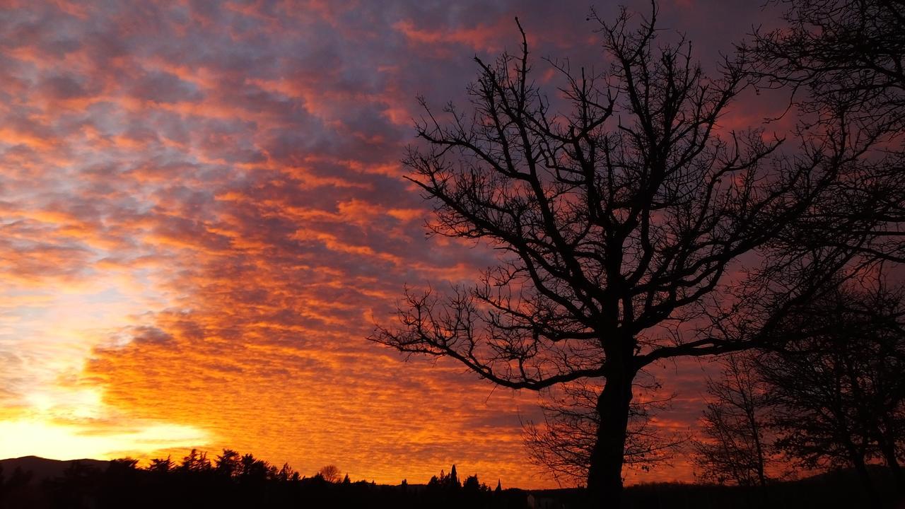 Agriturismo Il Sasso Anghiari Eksteriør bilde